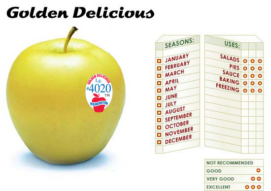 Apple, Yellow Delicious (Golden Delicious) 